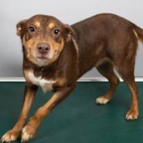 Thumbnail photo of Marina #3