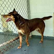 Thumbnail photo of Marina #4