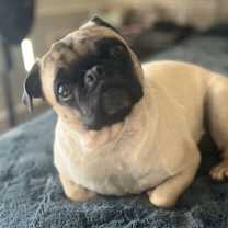 Thumbnail photo of Lily Jane #1