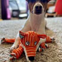 Thumbnail photo of King #1