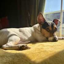 Thumbnail photo of King #2