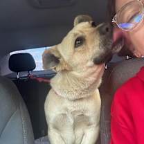 Thumbnail photo of CHESTER #3