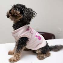 Thumbnail photo of Plum #2