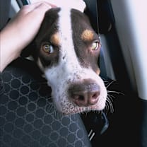 Thumbnail photo of Pepper #4