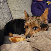 Thumbnail photo of Gadget #3