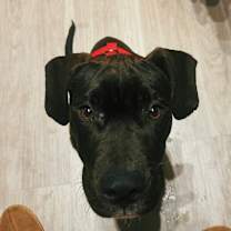 Thumbnail photo of Sparta #3