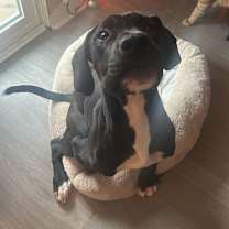 Thumbnail photo of Sparta #4