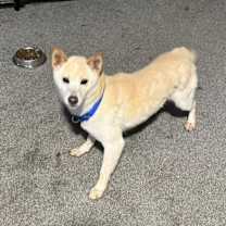 Thumbnail photo of Tina #2