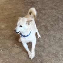 Thumbnail photo of Tina #3