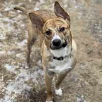 Thumbnail photo of Monty #2