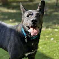 Thumbnail photo of Theo #1