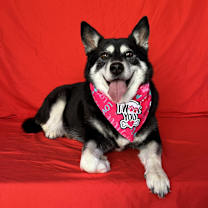 Thumbnail photo of Jackie #1