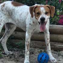 Thumbnail photo of Tillie #1