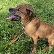 Thumbnail photo of Moka #3