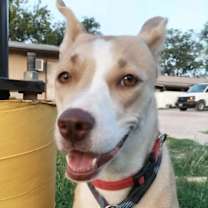 Thumbnail photo of Daisy #2