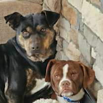 Thumbnail photo of OAKLEY #2