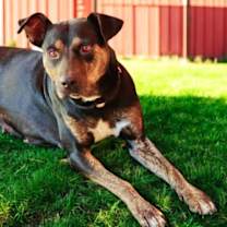 Thumbnail photo of OAKLEY #4