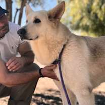 Thumbnail photo of Ahna #3