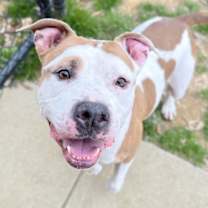 Thumbnail photo of ODIN #1