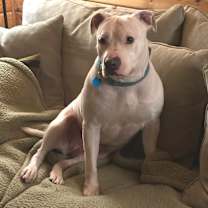 Thumbnail photo of TUOHY #2