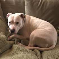 Thumbnail photo of TUOHY #4