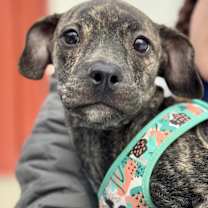 Thumbnail photo of Shirley #1