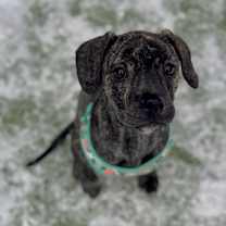 Thumbnail photo of Shirley #2