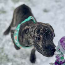 Thumbnail photo of Shirley #4