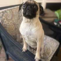 Thumbnail photo of Lily Jane #2