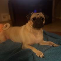 Thumbnail photo of Lily Jane #3