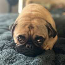 Thumbnail photo of Lily Jane #4