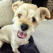 Thumbnail photo of Theo #2