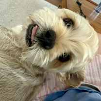 Thumbnail photo of Theo #3