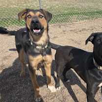 Thumbnail photo of Hades #2