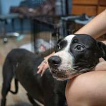Thumbnail photo of Cash #3