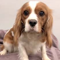 Thumbnail photo of Sally #1