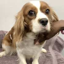 Thumbnail photo of Sally #3