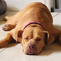 Thumbnail photo of Lil Girl #2