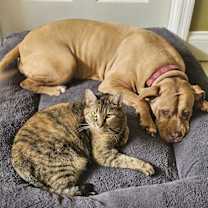 Thumbnail photo of Lil Girl #3