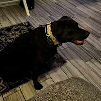 Thumbnail photo of Kara #1