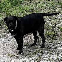 Thumbnail photo of Kara #2