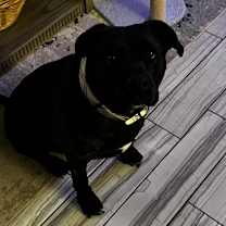 Thumbnail photo of Kara #3