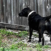 Thumbnail photo of Kara #4