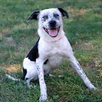 Thumbnail photo of Stevie Dee #2