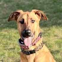 Thumbnail photo of Mira - Located in IA #1