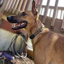 Thumbnail photo of Mira - Located in IA #2