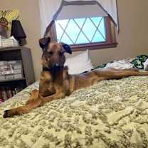 Thumbnail photo of Mira - Located in IA #3