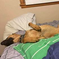 Thumbnail photo of Mira - Located in IA #4