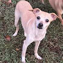 Thumbnail photo of Manny #1