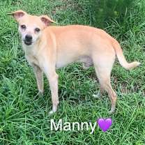 Thumbnail photo of Manny #2